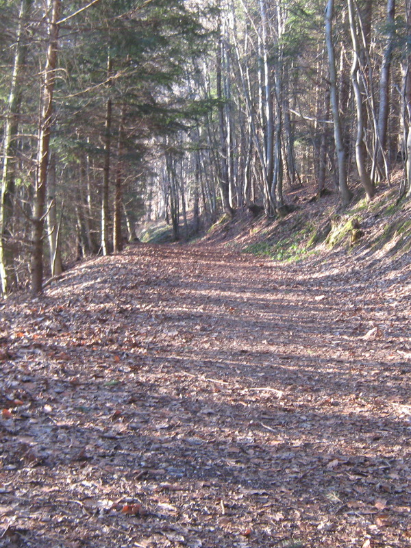 Der Beginn vom Wanderweg