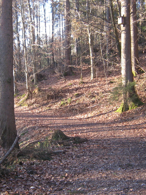 Mitten in der Natur