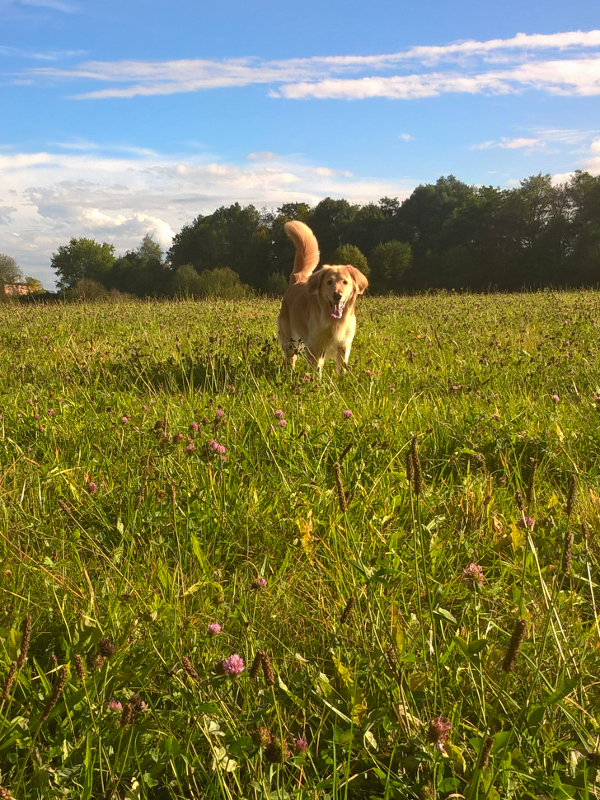 Aber jetzt genug gelesen! Nun ist Toben angesagt! 